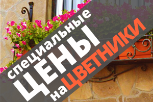 Специальные цены на цветники Специальные цены на цветники